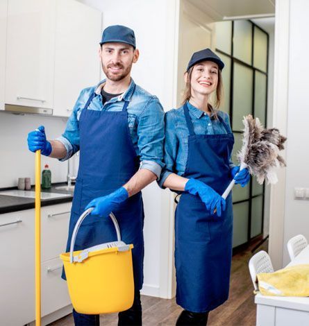 professional regular cleaners